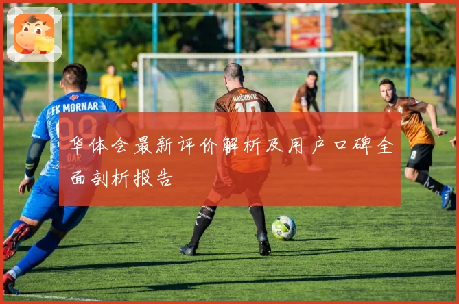 华体会最新评价解析及用户口碑全面剖析报告