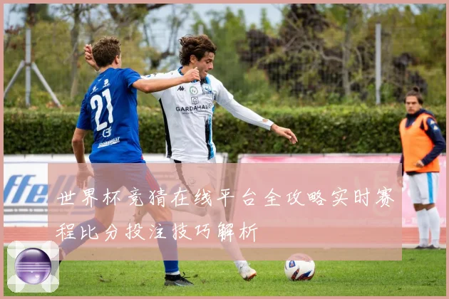 世界杯竞猜在线平台全攻略实时赛程比分投注技巧解析