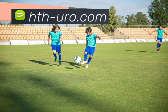 华体会官网全站App